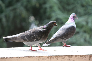 Similar image 648986