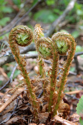 Similar image 649035