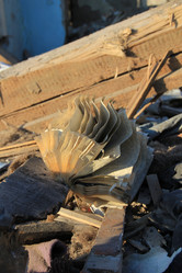 Similar image 649048