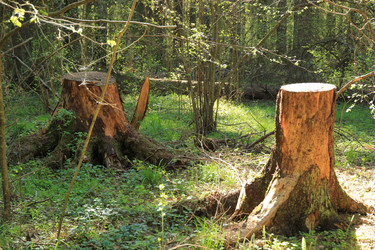 Similar image 649049