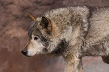 Similar image 649126