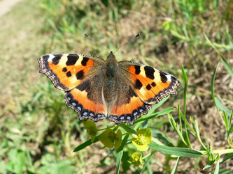 Similar image 649195