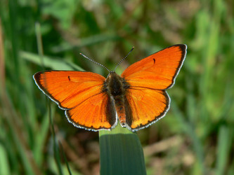 Similar image 649198