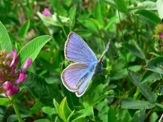 Similar image 649200