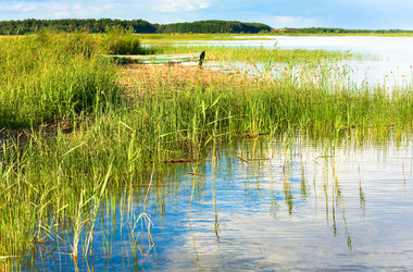 Similar image 649216