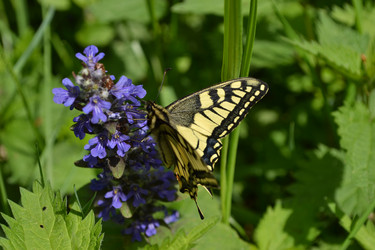 Similar image 649248