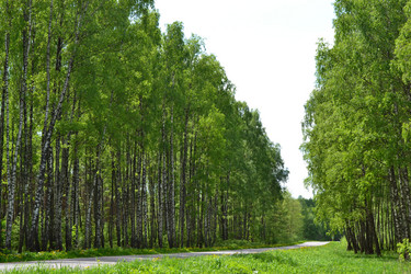 Similar image 649253