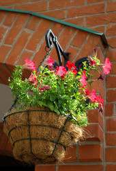 Similar image 649276