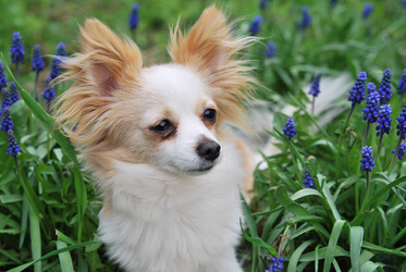 Similar image 649319