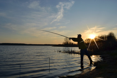 Similar image 649333