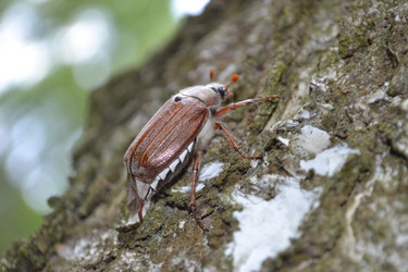 Similar image 649334