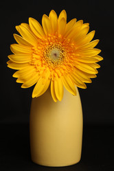 Similar image 649349