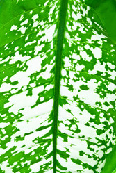 Similar image 649354