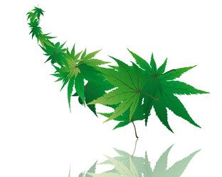 Similar image 649374