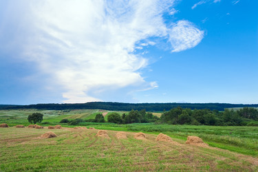 Similar image 649381