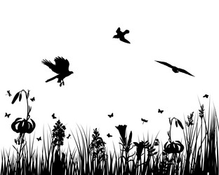 Similar image 649395