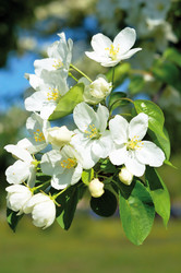 Similar image 649404