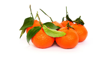 Similar image 649424