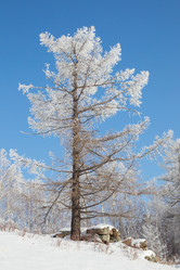 Similar image 649425