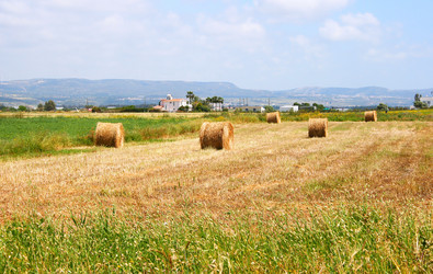 Similar image 649440