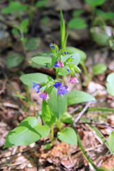 Similar image 649459