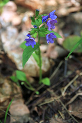 Similar image 649460