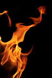 Similar image 649494