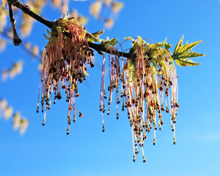 Similar image 649536