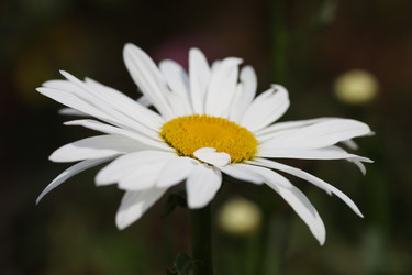 Similar image 649540