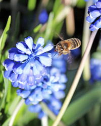 Similar image 649549