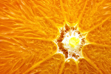 Similar image 649569