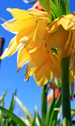 Similar image 649585