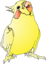 Similar image 649588