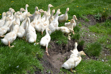 Similar image 649589