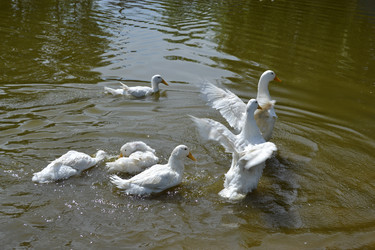 Similar image 649590