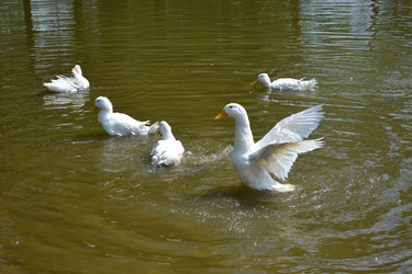 Similar image 649591