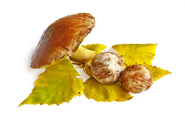 Similar image 649604