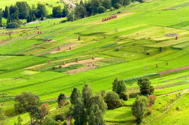 Similar image 649630