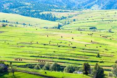 Similar image 649632