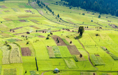 Similar image 649645