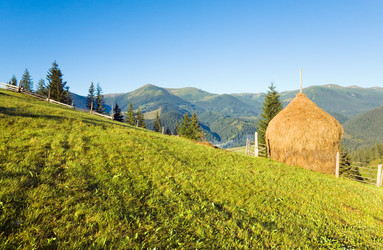 Similar image 649653