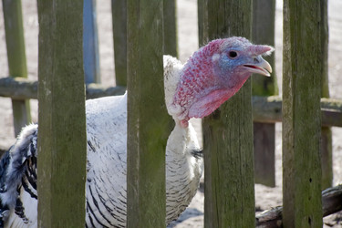 Similar image 649656