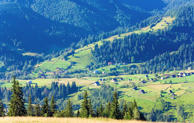 Similar image 649661