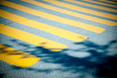 Similar image 649672