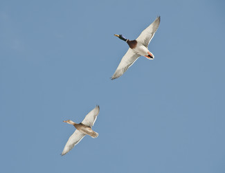 Similar image 649680