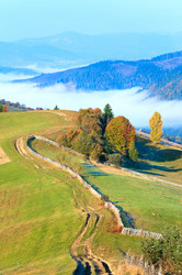 Similar image 649688