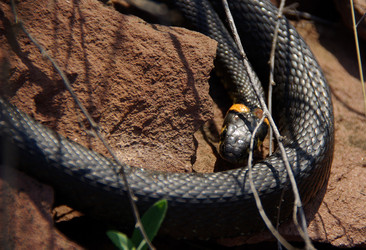 Similar image 649728