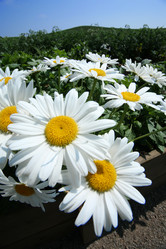 Similar image 649741