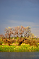 Similar image 649746