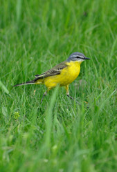 Similar image 649749